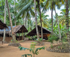 Eco-Friendly Construction