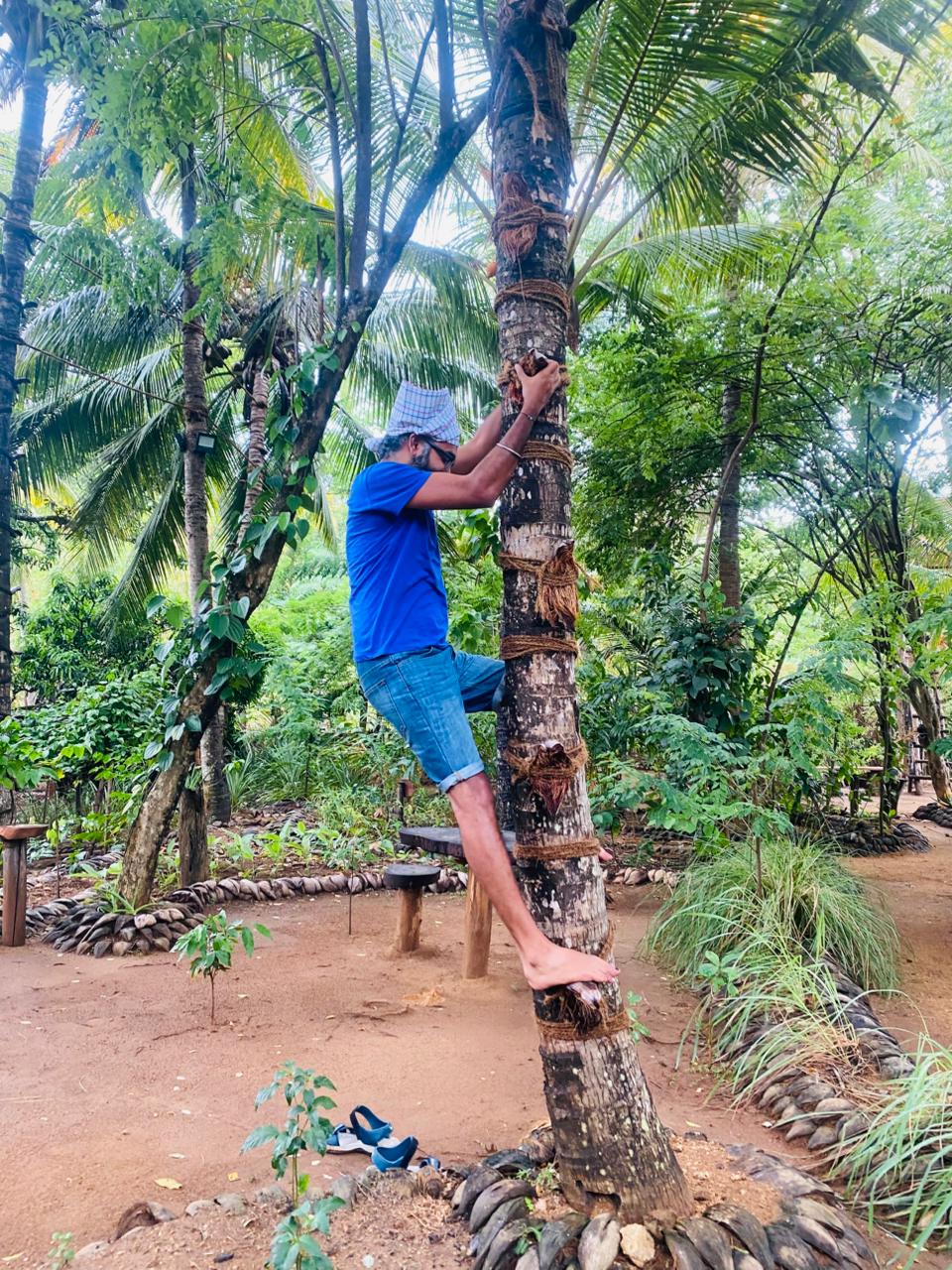 Authentic Experiences